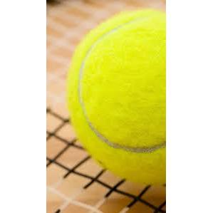 ASSOCIATION DU TENNIS BUXOIS 1